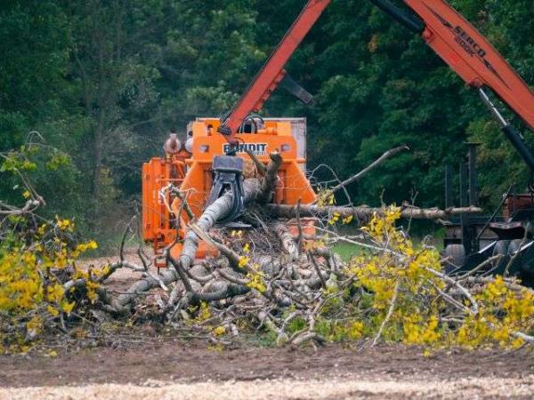 Bandit Whole Tree Chippers